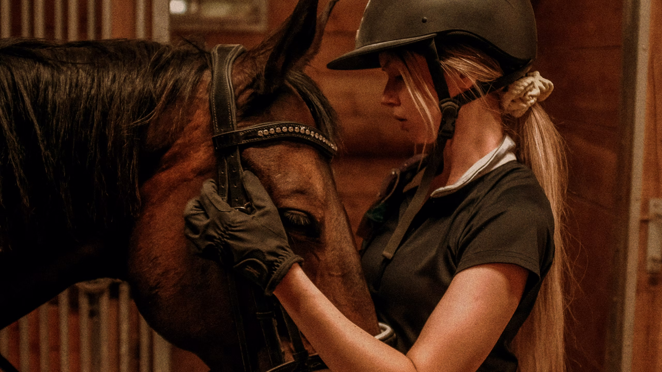 Imagen de Veterinaria Especializada