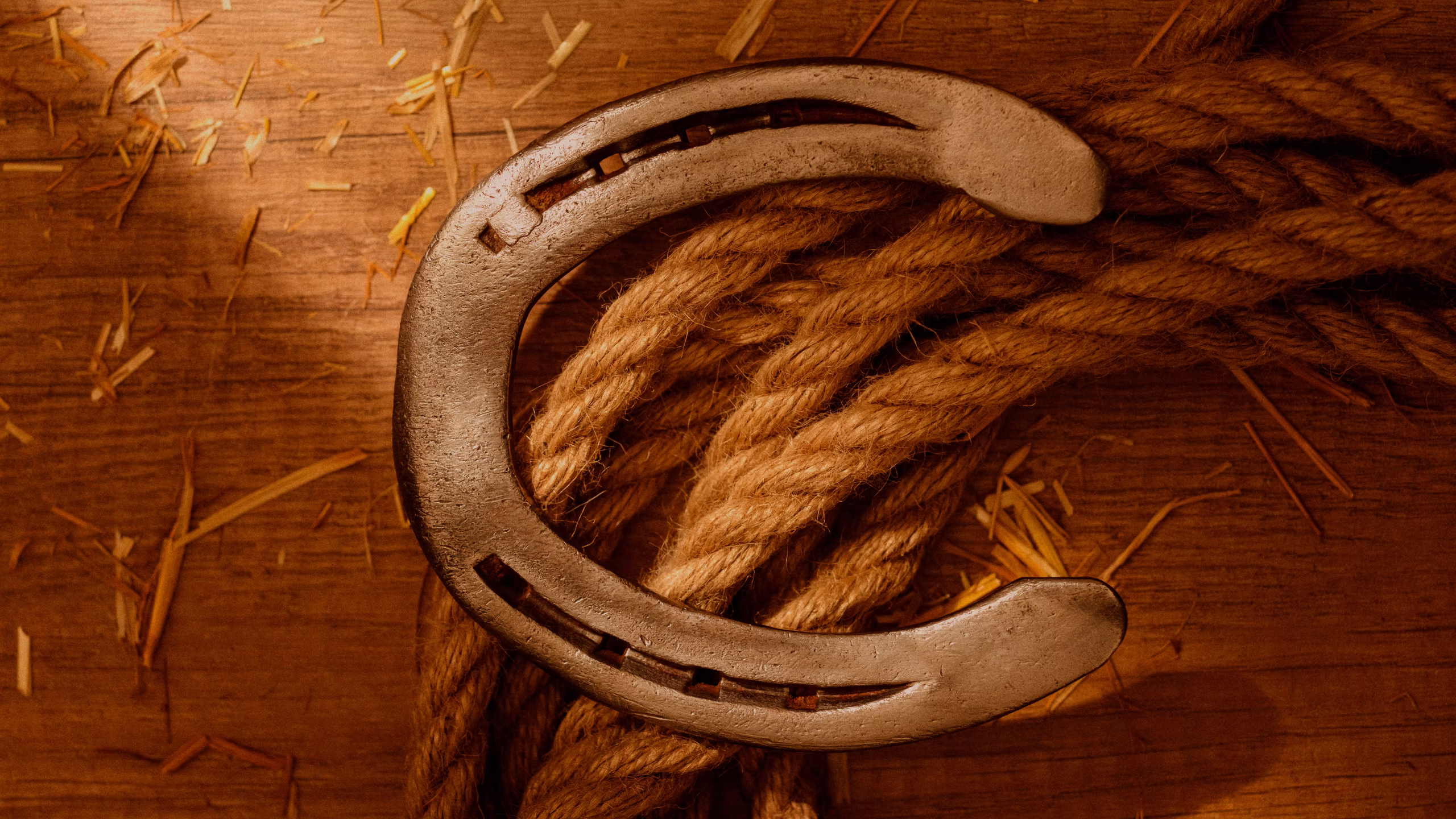 Documentación administrativa ecuestre